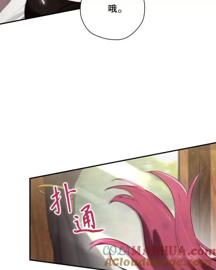 《结局制造者》42.到达诺顿府邸图105