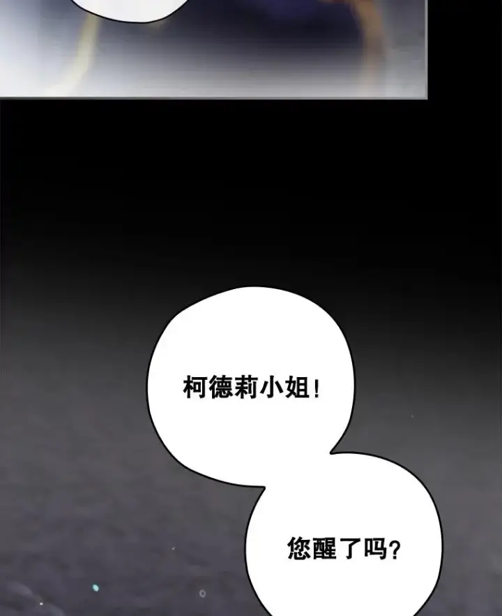 《结局制造者》42.到达诺顿府邸图2