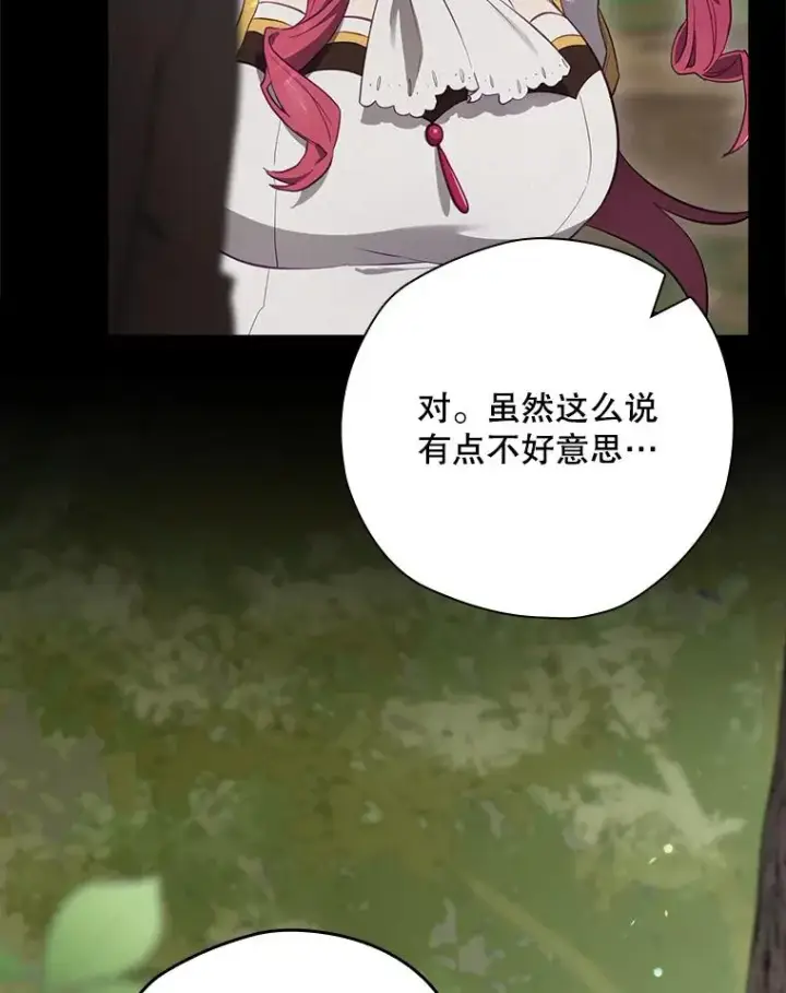 《结局制造者》42.到达诺顿府邸图51