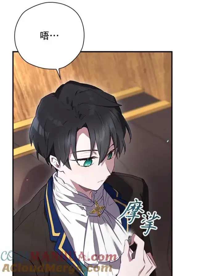 《结局制造者》42.到达诺顿府邸图85