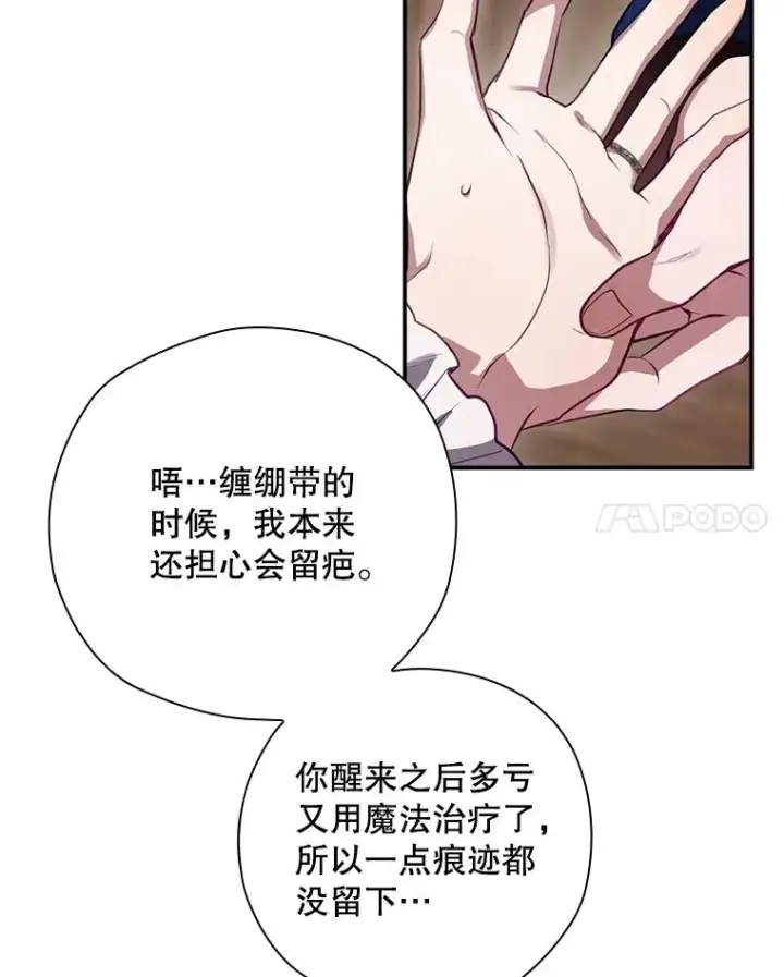《结局制造者》42.到达诺顿府邸图96