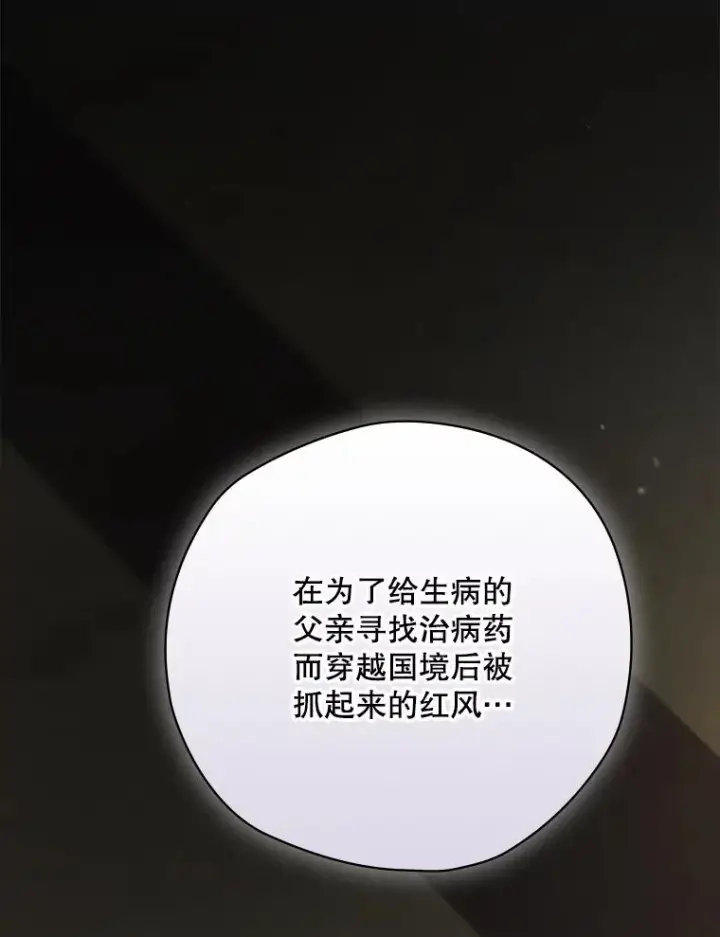 《结局制造者》61.拯救红风图88