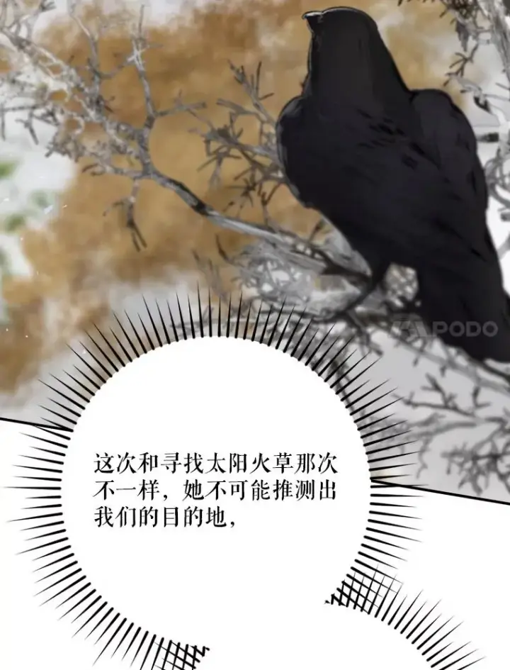 《结局制造者》67.被卡玛尔救下图50