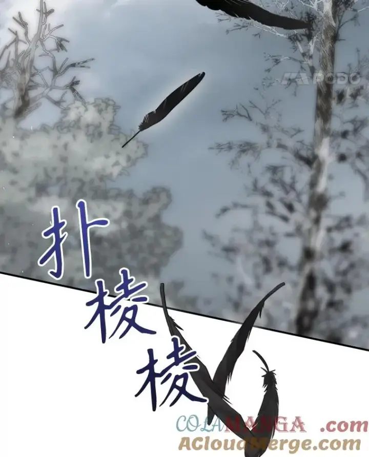 《结局制造者》67.被卡玛尔救下图57