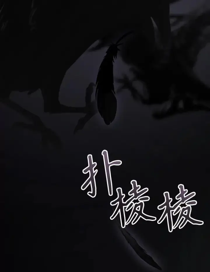 《结局制造者》67.被卡玛尔救下图92