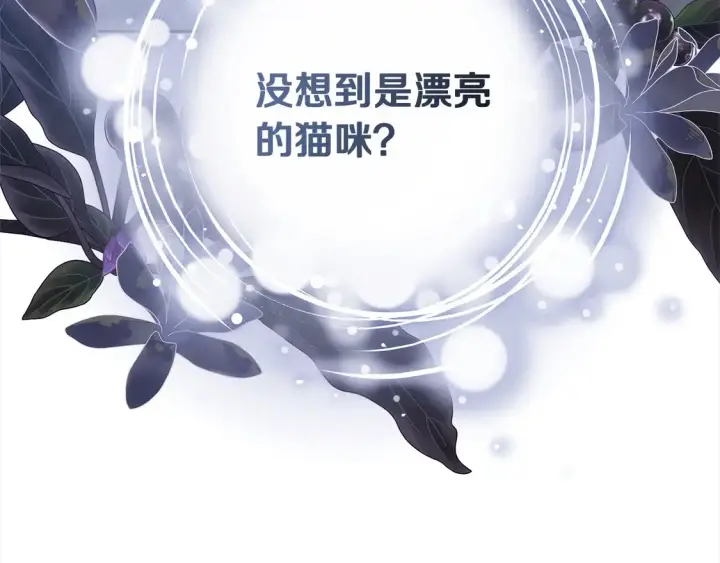 《继母活命很简单》第3话 遇见猫咪公爵？图241