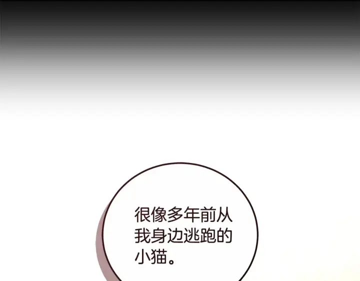 《继母活命很简单》第20话 充满利用图11