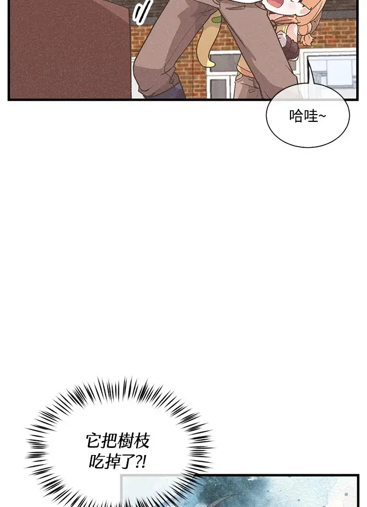 《精灵农夫》第54话图62