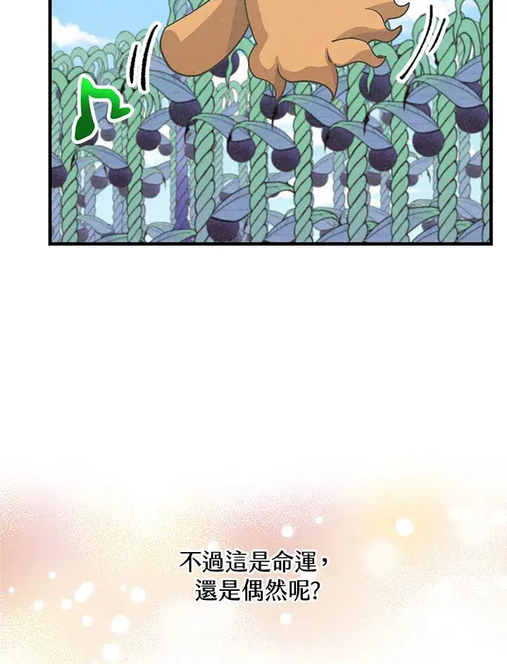 《精灵农夫》第72话图87