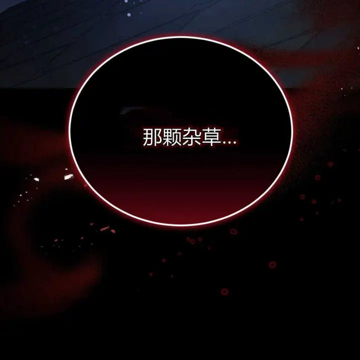 《精灵小姐，请和我签订契约吧》第01话图213