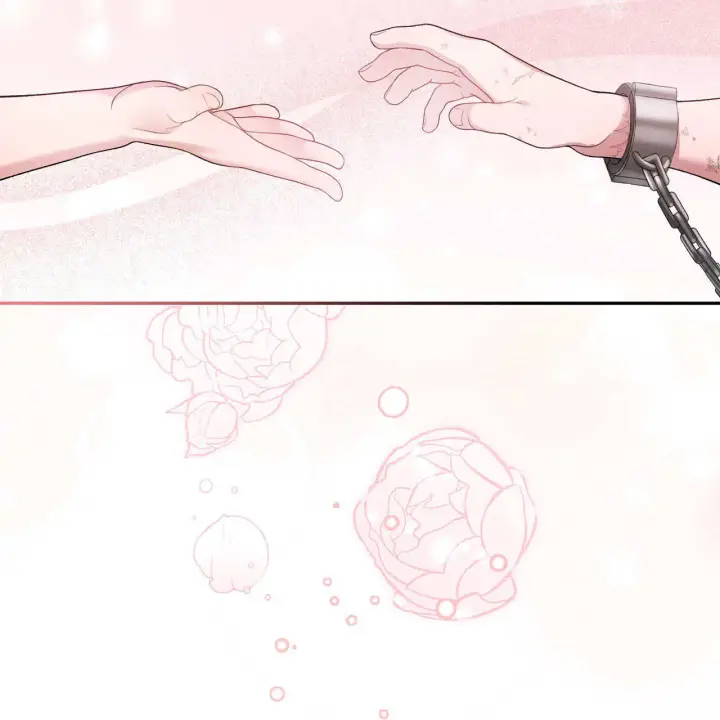 《精灵小姐，请和我签订契约吧》第05话图206