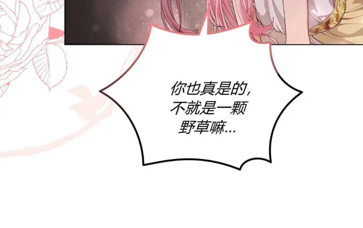 《精灵小姐，请和我签订契约吧》第05话图77