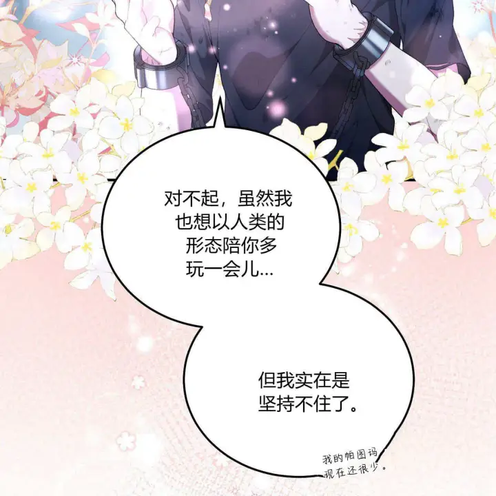 《精灵小姐，请和我签订契约吧》第06话图66