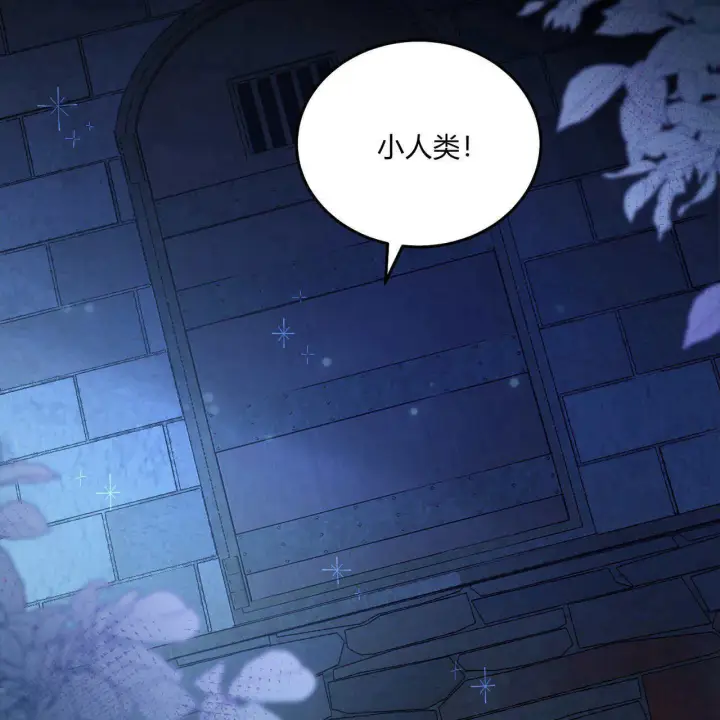 《精灵小姐，请和我签订契约吧》第06话图74