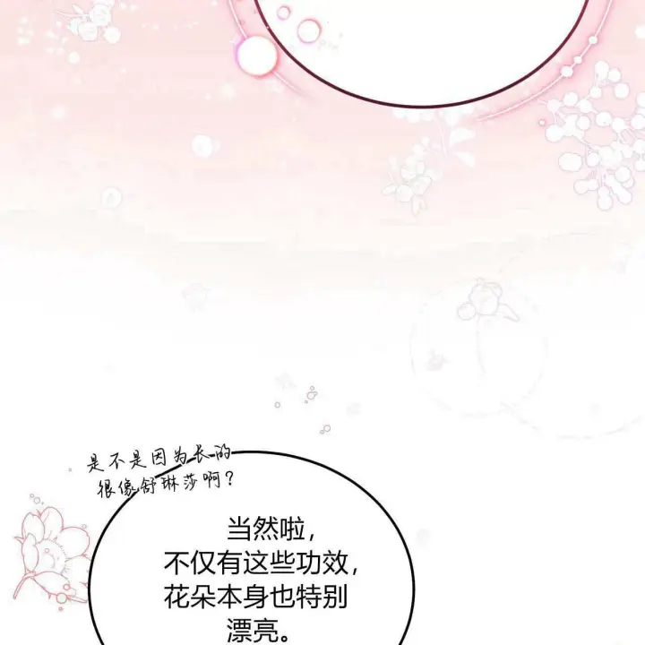 《精灵小姐，请和我签订契约吧》第24话图106