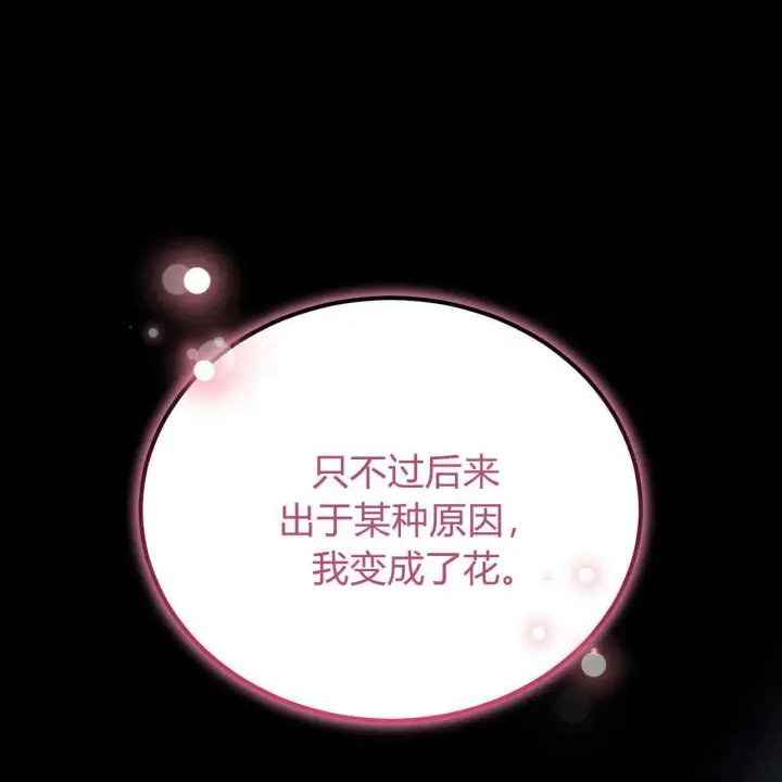 《精灵小姐，请和我签订契约吧》第25话图106