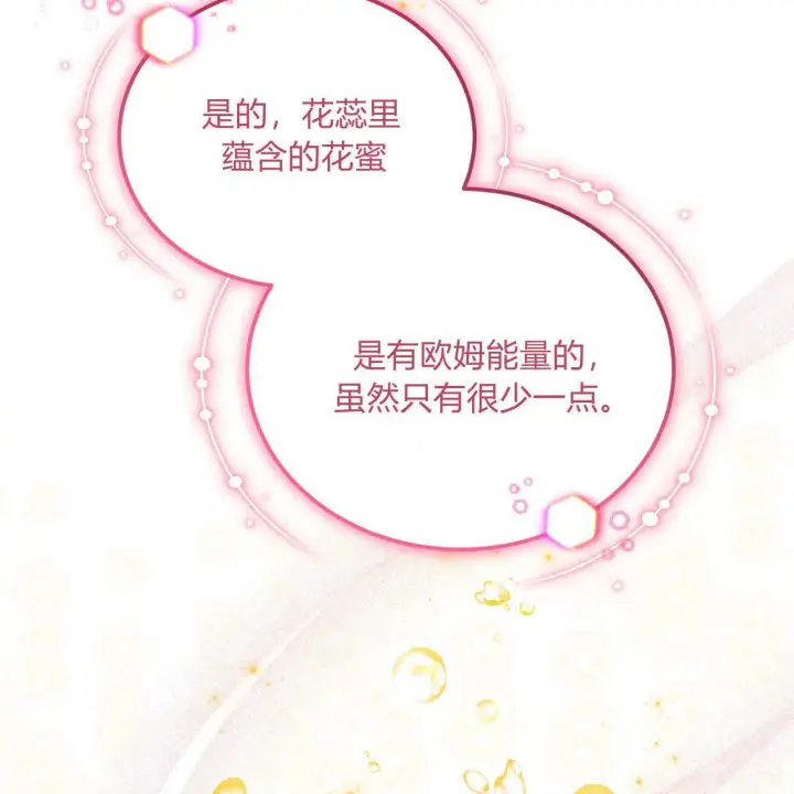 《精灵小姐，请和我签订契约吧》第28话图80