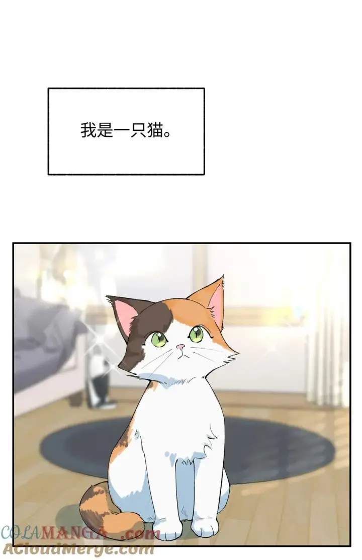 漫画《今天你露馅了吗？！》延更小番外 下周不见不散第2张图