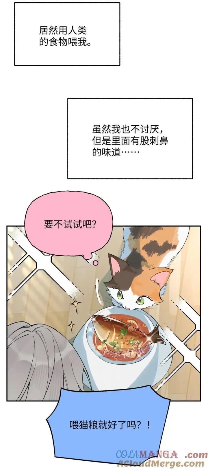 漫画《今天你露馅了吗？！》延更小番外 下周不见不散第5张图