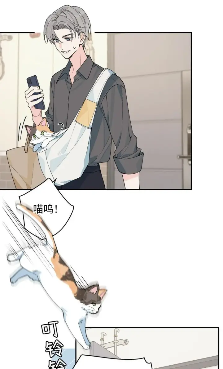 漫画《今天你露馅了吗？！》第20话 赔了夫人又折喵~第22张图