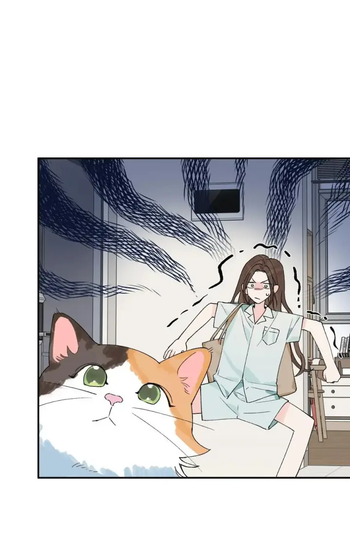 漫画《今天你露馅了吗？！》第20话 赔了夫人又折喵~第34张图
