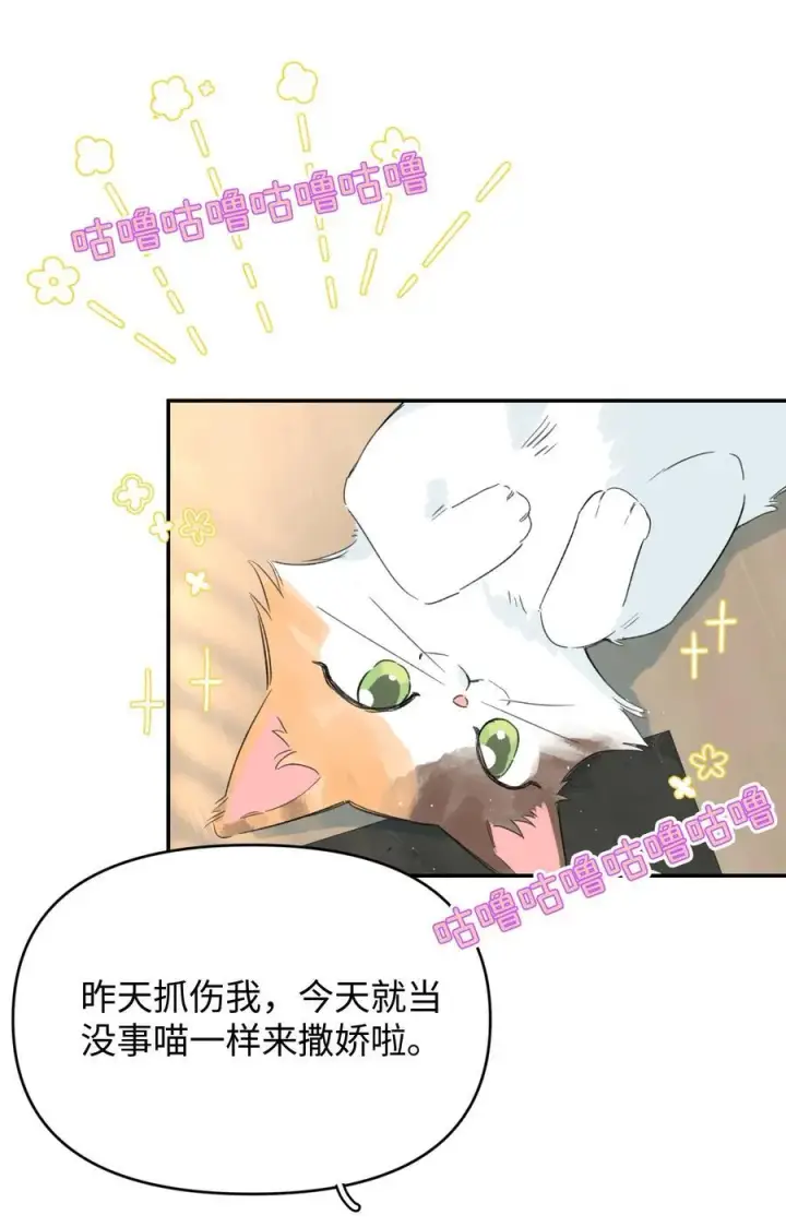 漫画《今天你露馅了吗？！》第27话 道歉的态度第32张图