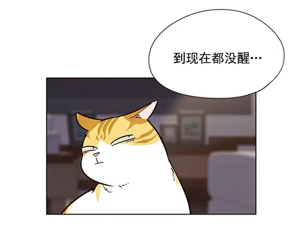 《觉醒吧，铲屎官！》第7话图102