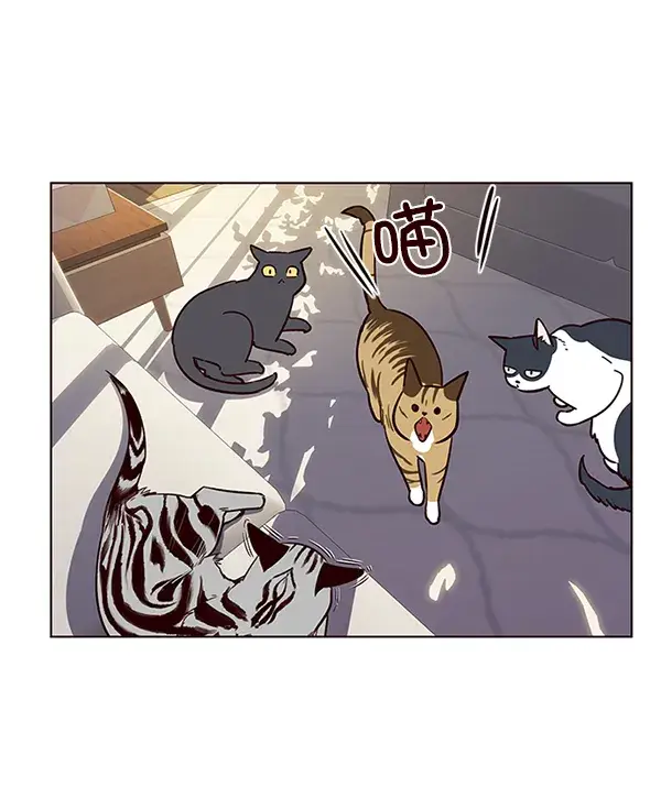 《觉醒吧，铲屎官！》第7话图74