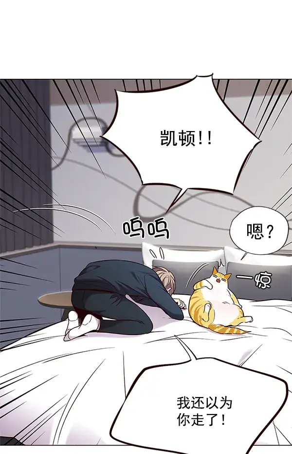 《觉醒吧，铲屎官！》第99话图112