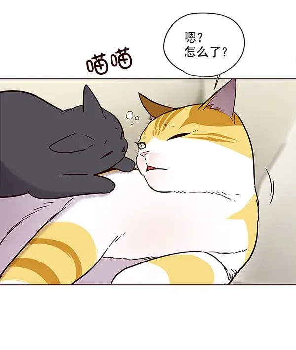 《觉醒吧，铲屎官！》第101话图4