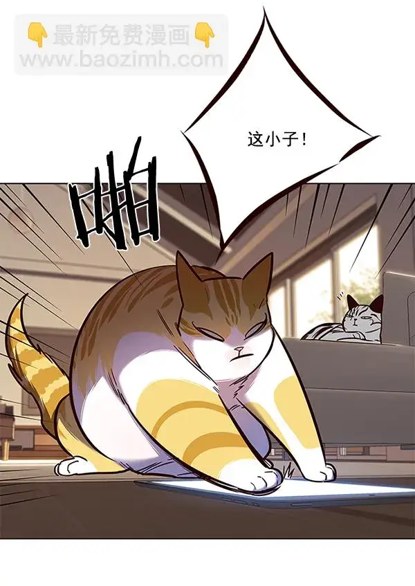 《觉醒吧，铲屎官！》第106话图91