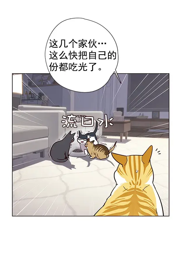 《觉醒吧，铲屎官！》第9话图34