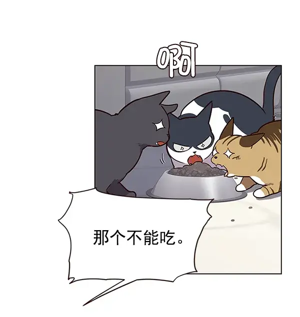 《觉醒吧，铲屎官！》第9话图35