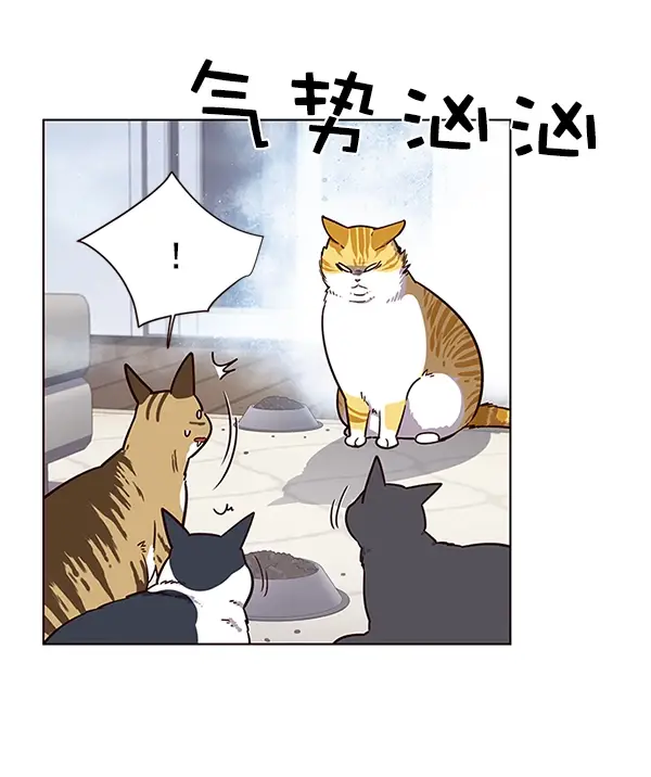 《觉醒吧，铲屎官！》第9话图36