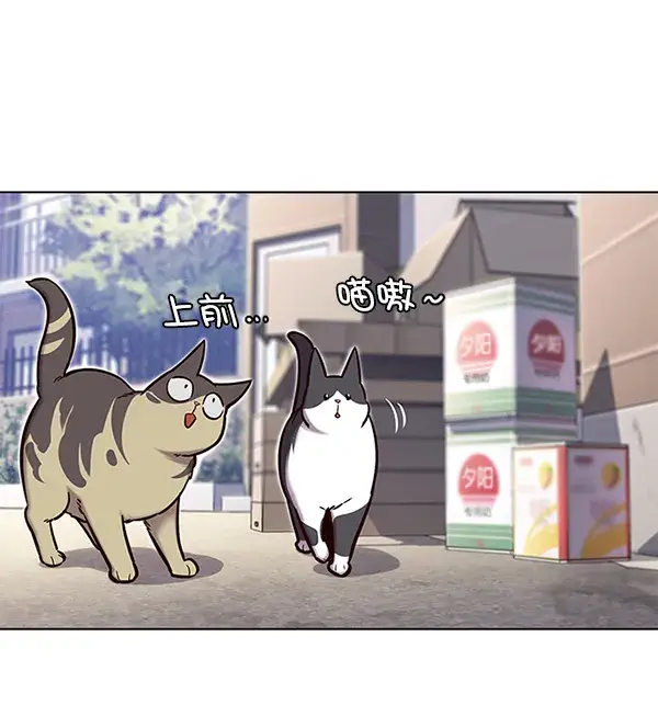 《觉醒吧，铲屎官！》第117话图12