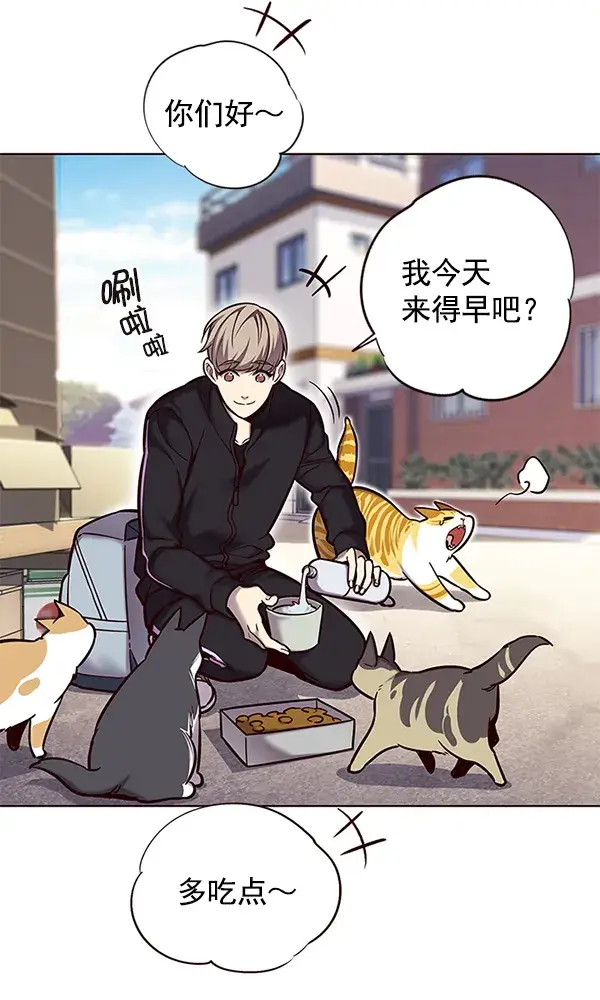 《觉醒吧，铲屎官！》第117话图13