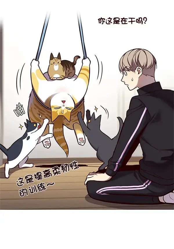 《觉醒吧，铲屎官！》第118话图12