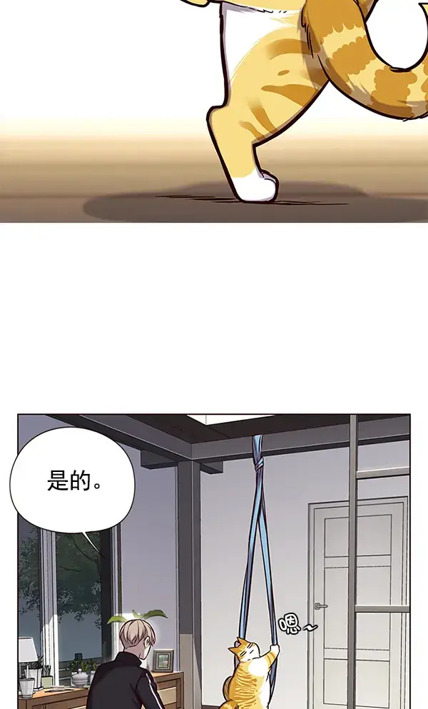 《觉醒吧，铲屎官！》第118话图7