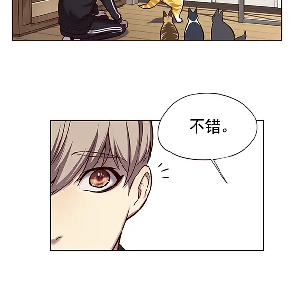 《觉醒吧，铲屎官！》第118话图8