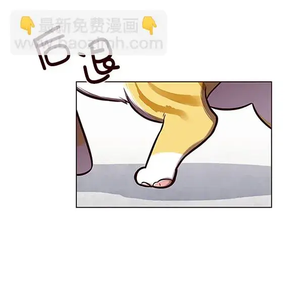 《觉醒吧，铲屎官！》第119话图93