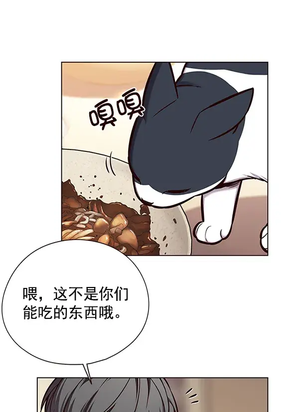 《觉醒吧，铲屎官！》第123话图37