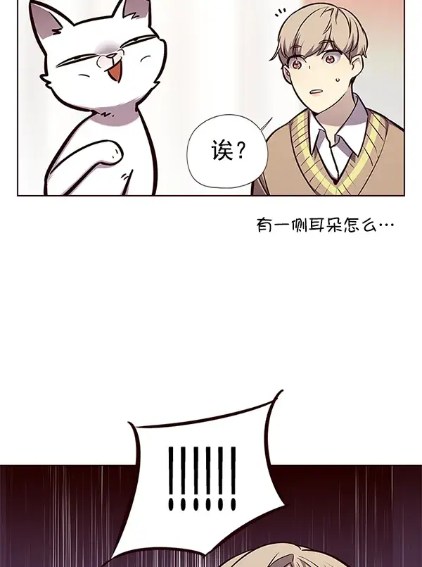 《觉醒吧，铲屎官！》第143话图40