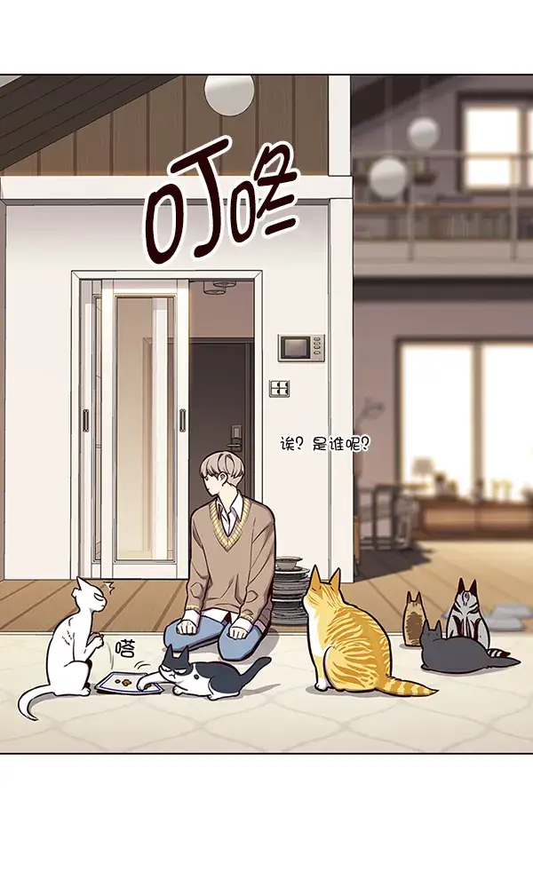 《觉醒吧，铲屎官！》第143话图64