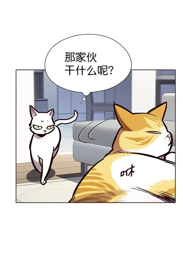 《觉醒吧，铲屎官！》第144话图27
