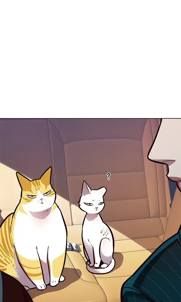 《觉醒吧，铲屎官！》第144话图55