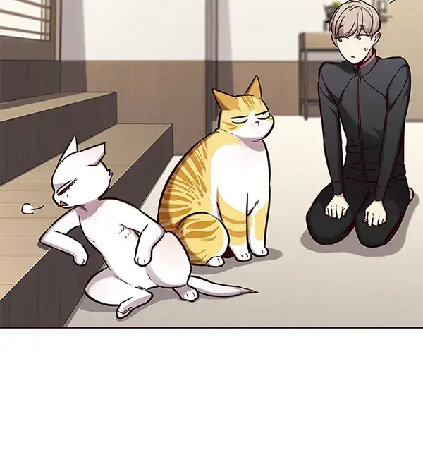 《觉醒吧，铲屎官！》第156话图14