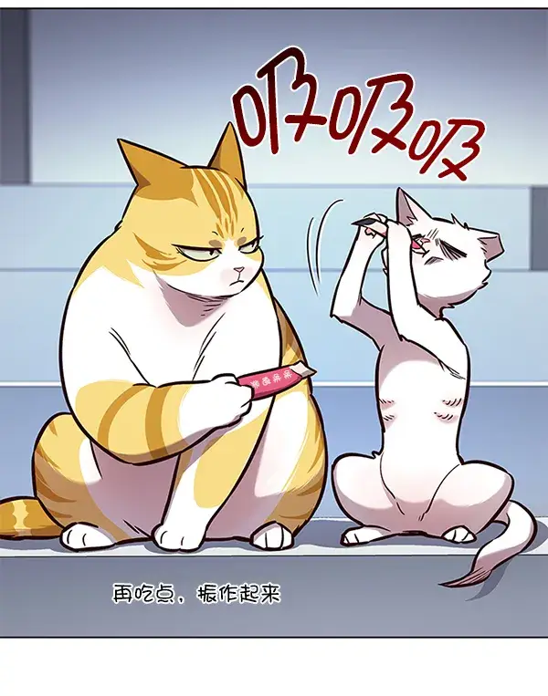 《觉醒吧，铲屎官！》第159话图6