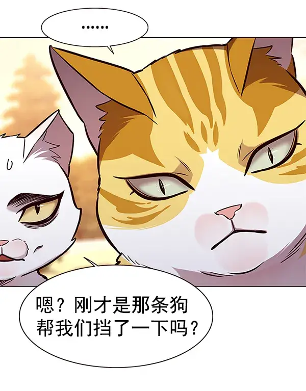 《觉醒吧，铲屎官！》第161话图82