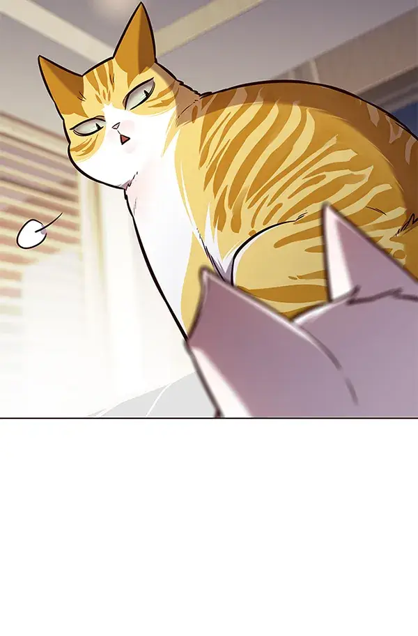《觉醒吧，铲屎官！》第164话图41