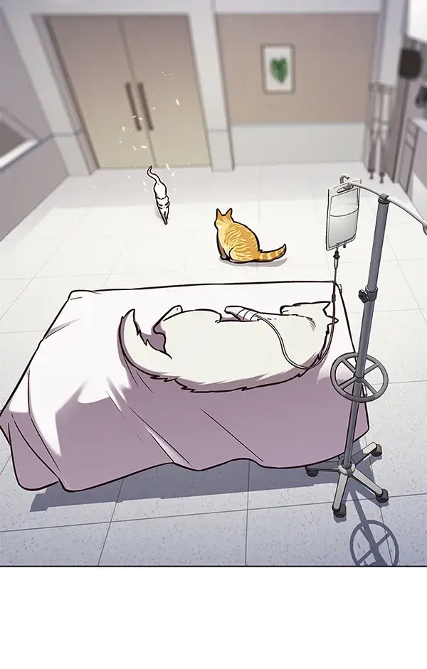《觉醒吧，铲屎官！》第166话图13